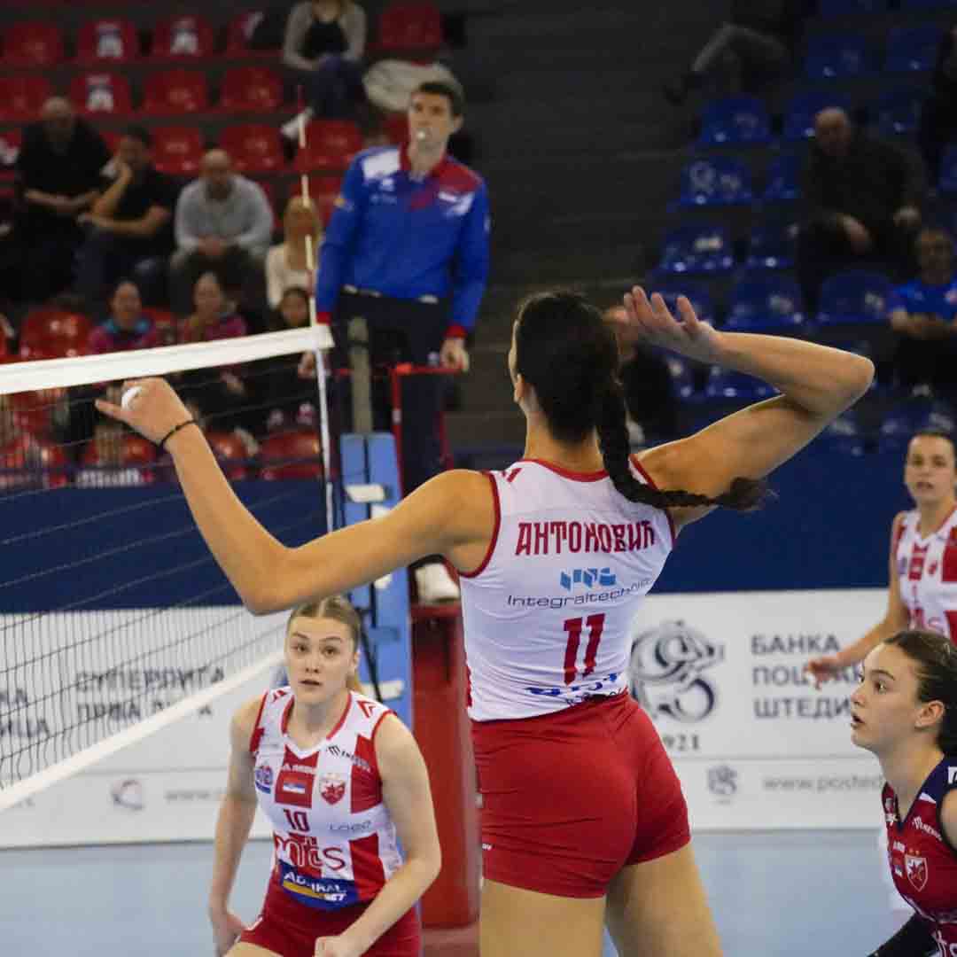 2203 Црвена звезда - Београд резултат 5