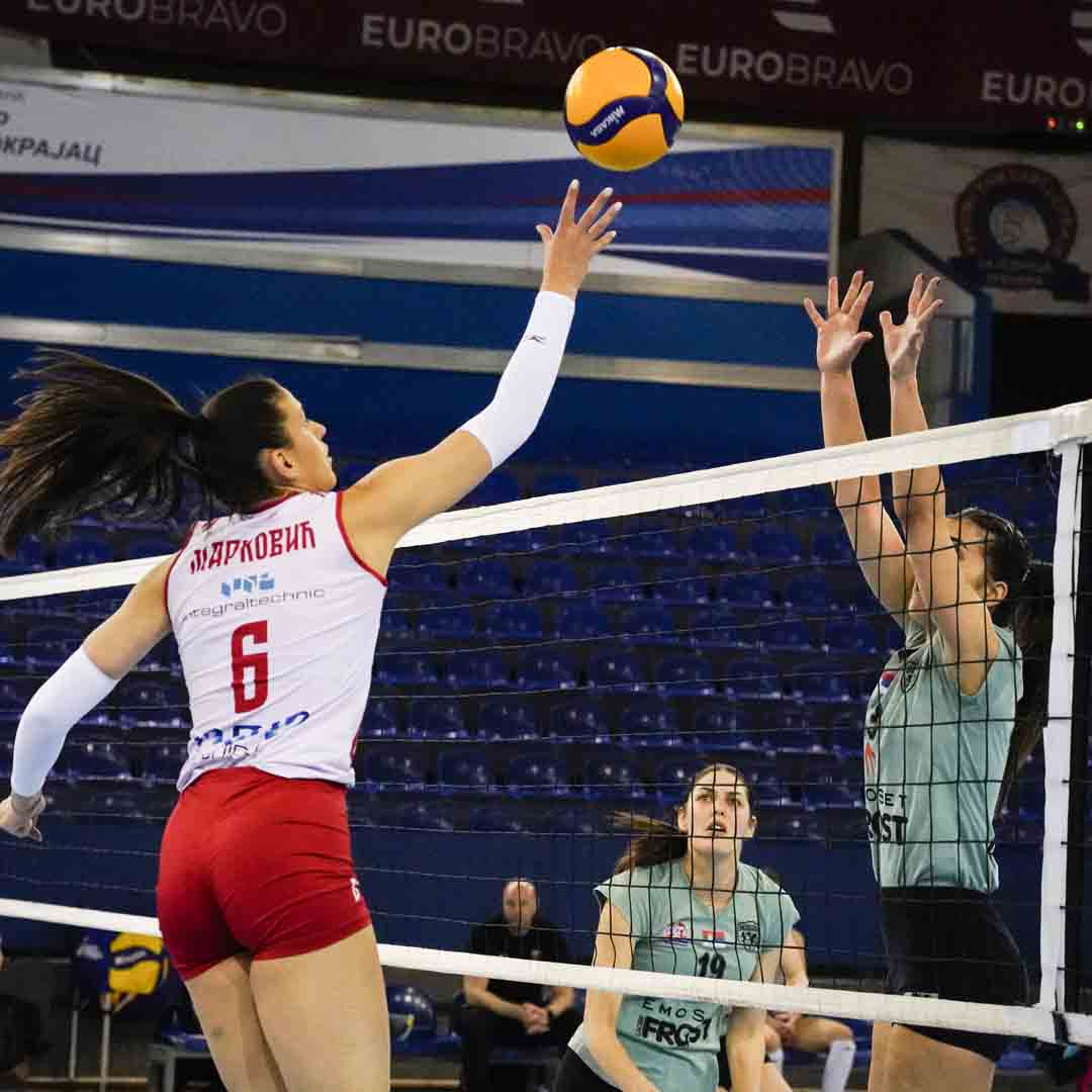 2203 Црвена звезда - Београд резултат 4