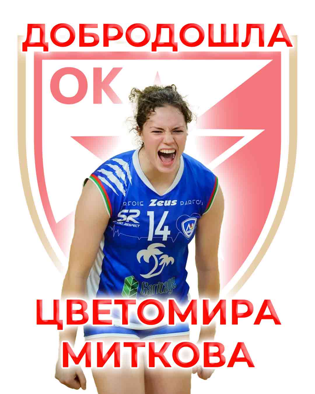 2306 Mitkova dolazak