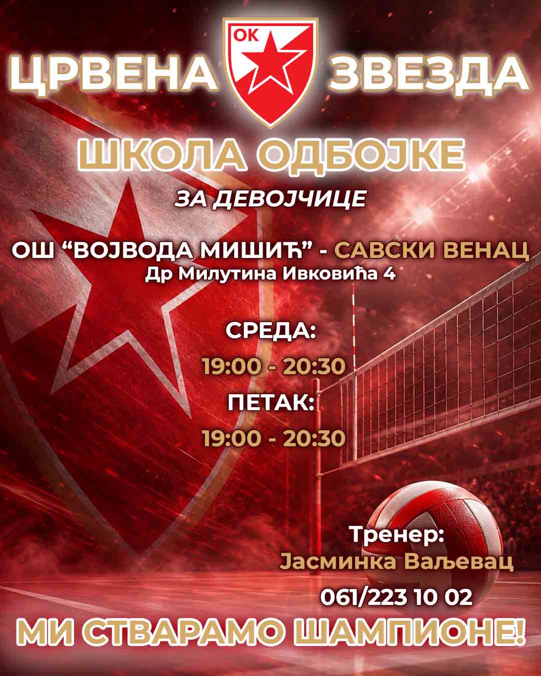Skola odbojke Misic